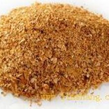 棉粕價格行情深度解析及趨勢預測