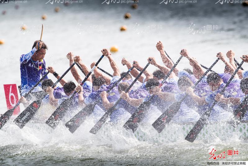 湖南龍船比賽視頻觀看與體驗(yàn)指南，精彩瞬間一網(wǎng)打盡！