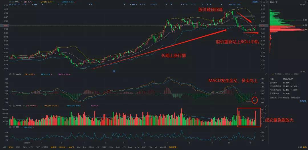 歌爾股票，小巷深處的隱藏寶藏揭秘，特色小店的股市奇妙之旅