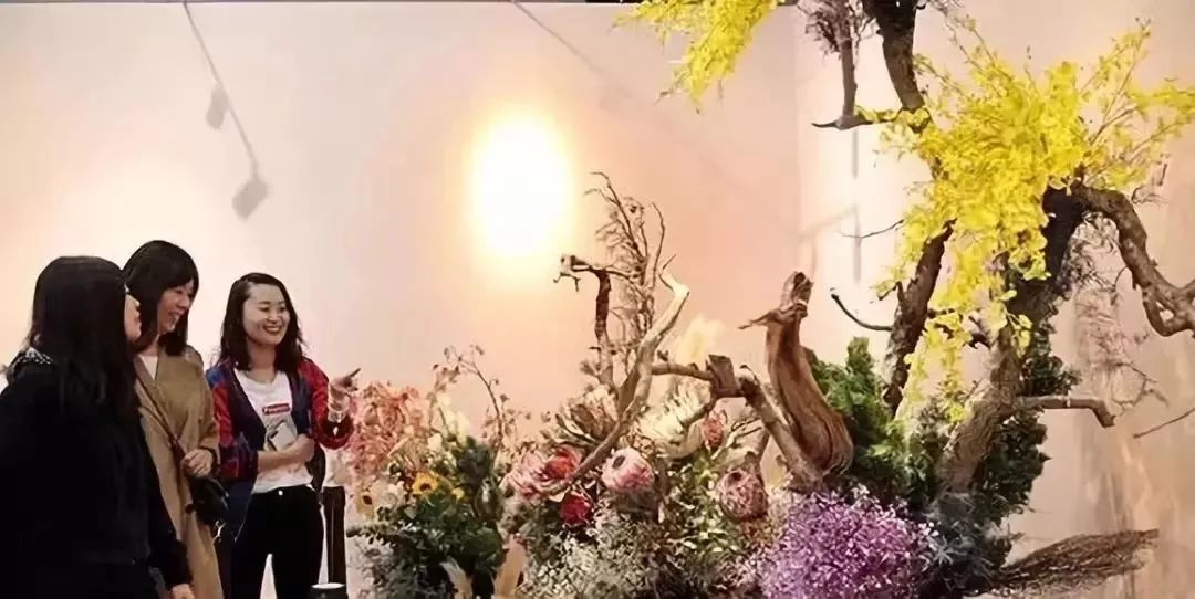 納蘭靜語最新現(xiàn)代作品——智能生活新紀(jì)元，科技重塑未來體驗(yàn)的魅力