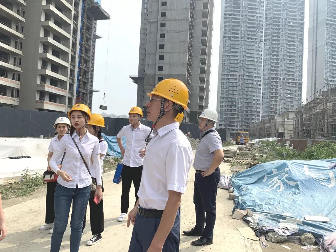 成都洺悅府最新動態(tài)揭秘，科技府邸，未來生活搶先體驗