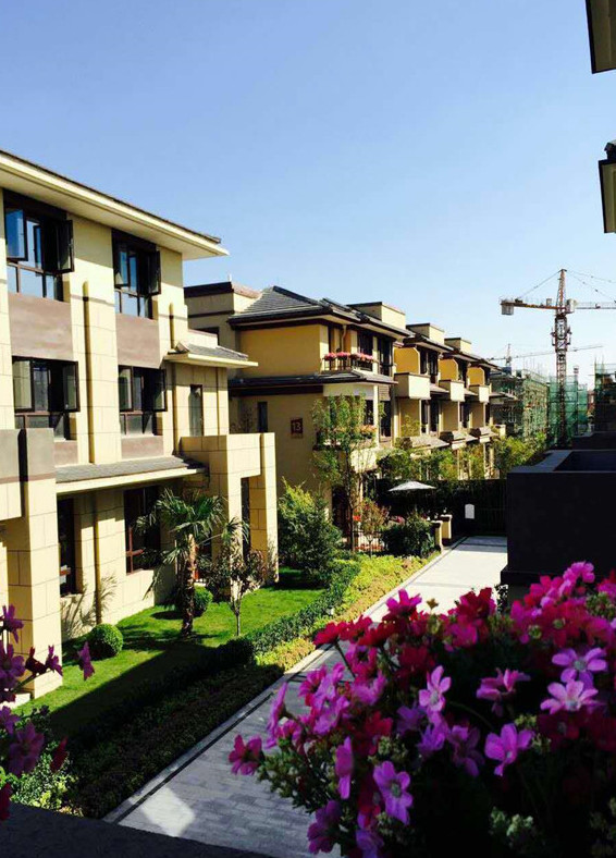 寶格麗小鎮(zhèn)最新資訊，學(xué)習(xí)變化，自信閃耀，共創(chuàng)美好未來成就