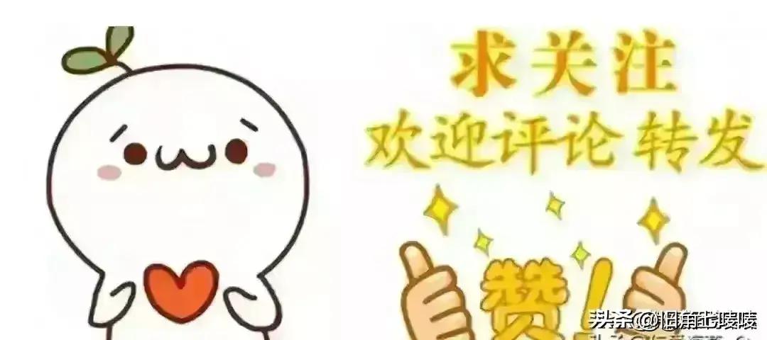 ＂2024全年資料免費大全功能＂的：執(zhí)行機(jī)制評估_用心版4.76