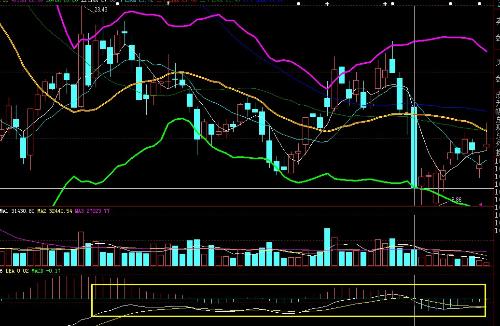 波動(dòng)行情與內(nèi)心寧靜的探索之旅，自然美景下的心靈對(duì)話