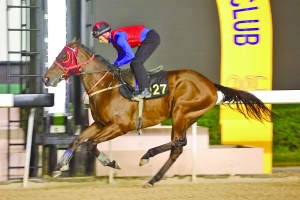 ＂澳門今晚開(kāi)特馬四不像圖＂的：創(chuàng)新策略設(shè)計(jì)_安全版3.6