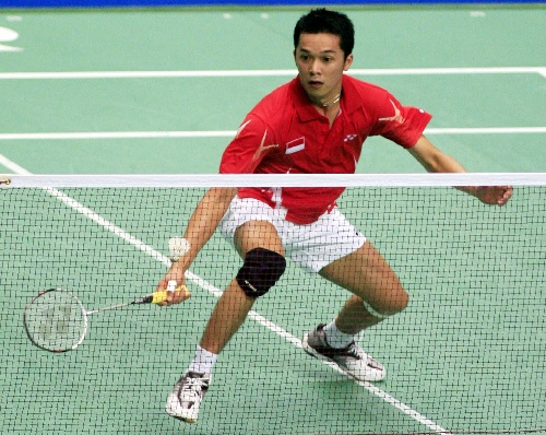 陶菲克羽毛球比賽視頻，觀看與學(xué)習(xí)指南