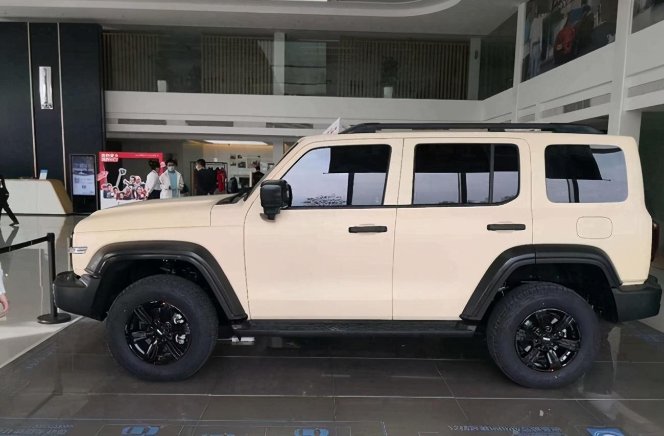 坦克300價(jià)格探秘，小巷中的意外驚喜