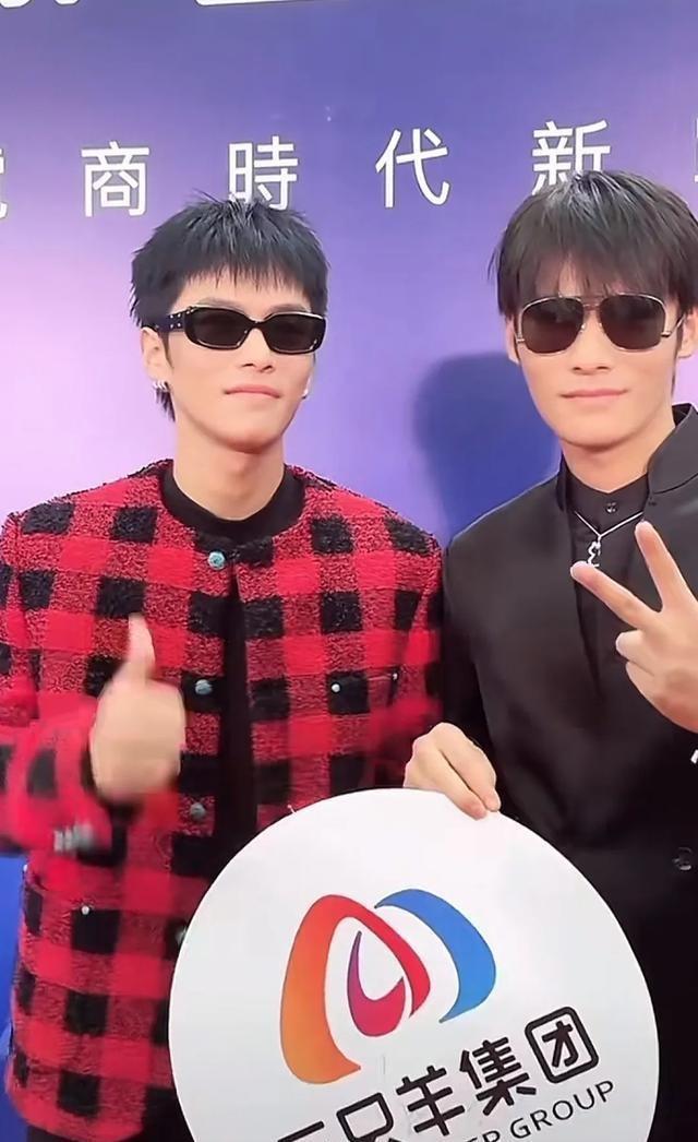 明星屬羊的獨特魅力與天賦揭秘