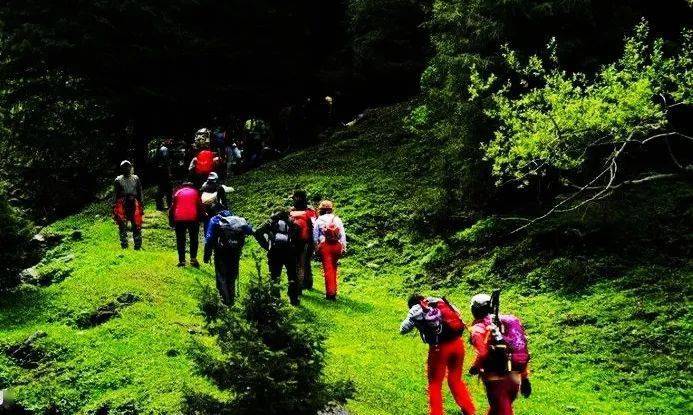 最新后峽動態(tài),最新后峽動態(tài)，發(fā)展與變化的深度探索