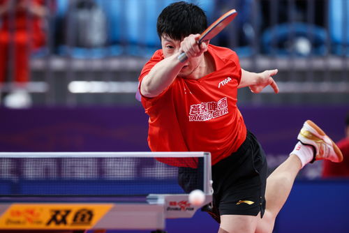 中國乒乓球明星的奮斗與榮耀，見證自信成就的力量之路