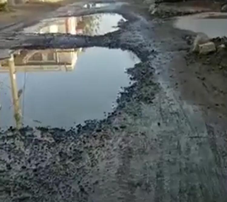 寧陽最新招標(biāo)信息及小巷深處的獨(dú)特風(fēng)味揭秘