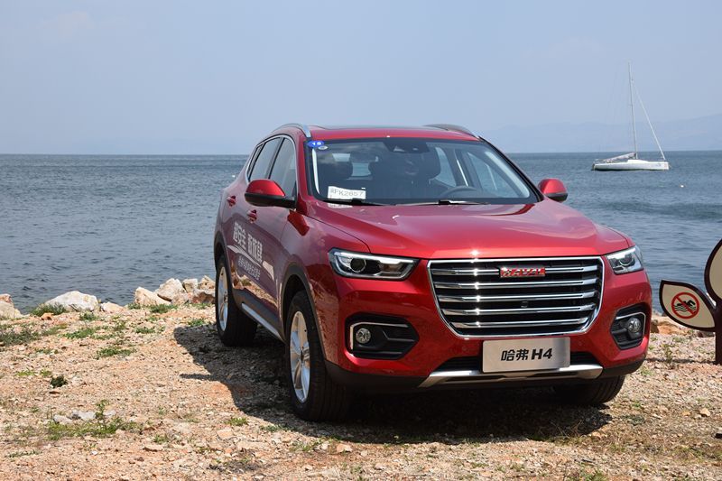 哈佛最新，自然美景治愈之旅探索