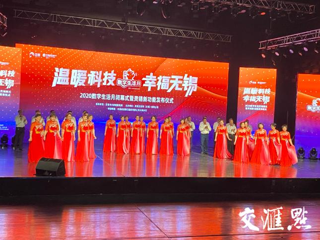 時(shí)代背景下的軟件崛起之旅，最新靈錫下載