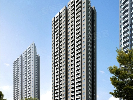 道口房價(jià)最新動態(tài)報(bào)告