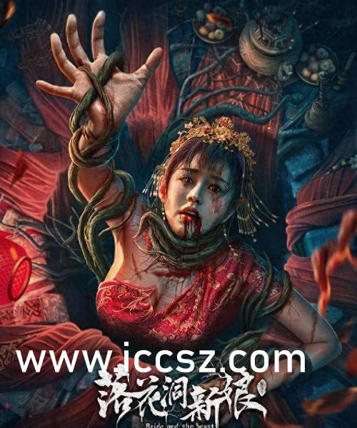 Seso最新資訊詳解，獲取與理解步驟指南