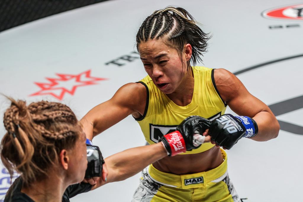 綜合格斗比賽，自然美景中的精神之旅對(duì)決