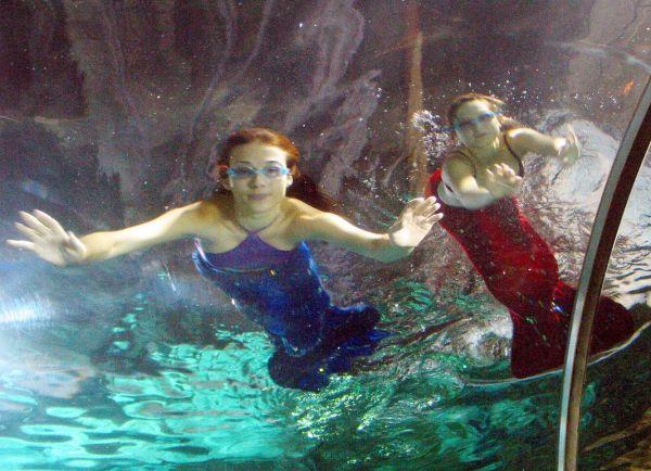 ＂2004新澳精準資料免費＂的：統(tǒng)計信息解析說明_榮耀版8.68