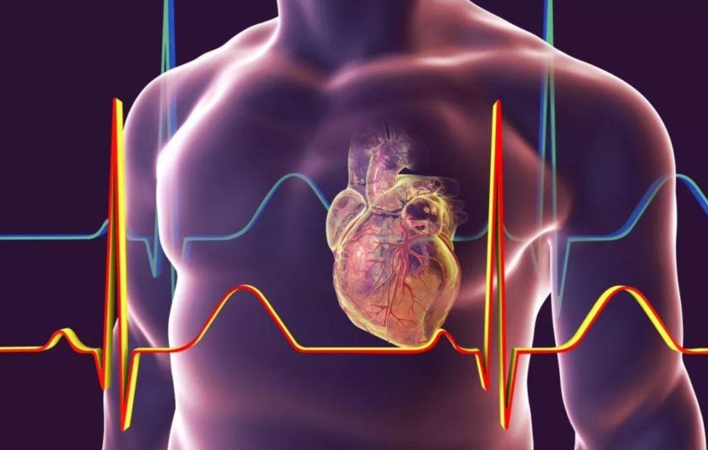 ＂新奧長期免費資料大全＂的：科學分析嚴謹解釋_銳意版3.78