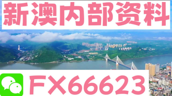 ＂新澳精準(zhǔn)正版資料免費(fèi)＂的：高效運(yùn)行支持_極致版1.70