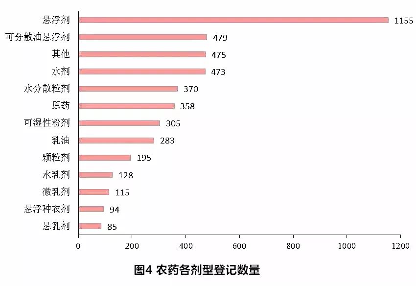 三七未來行情，自然美景中的旅行探索之旅