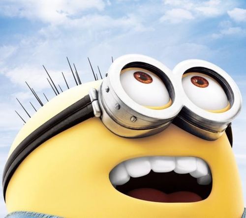 湖南下司犬最新上市，市場現(xiàn)象及各方觀點(diǎn)深度解析