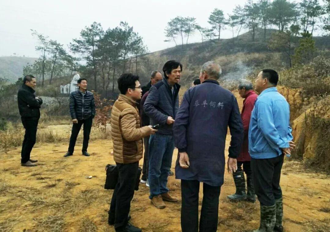 金牌調(diào)解精選，心靈與自然的完美邂逅