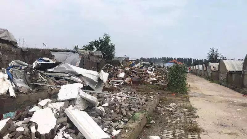 楊鎮(zhèn)拆遷最新動(dòng)態(tài)，科技引領(lǐng)重塑，開(kāi)啟拆遷新篇章體驗(yàn)