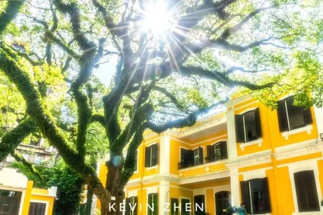 澳門答家婆一肖一馬一中一特,快速解答方案設(shè)計_知曉版14.534