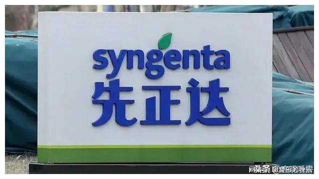 先正達國內(nèi)上市,先正達國內(nèi)上市，機遇與挑戰(zhàn)并存