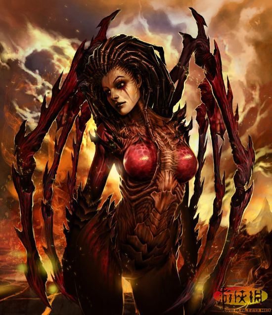 凱瑞甘最新動態(tài),凱瑞甘最新動態(tài)，星際爭霸女王的新征程