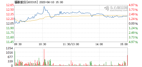 福鞍股票,福鞍股票——投資者的明智之選，開啟財富新篇章！