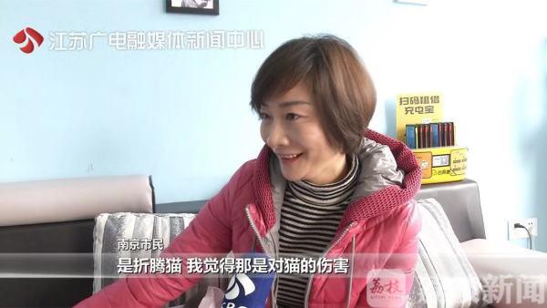 探索小巷中的神秘貓咪大賽，參賽指南與攻略