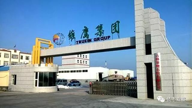 雛鷹農(nóng)牧最新動態(tài)，變革中的力量與自信成就感的崛起