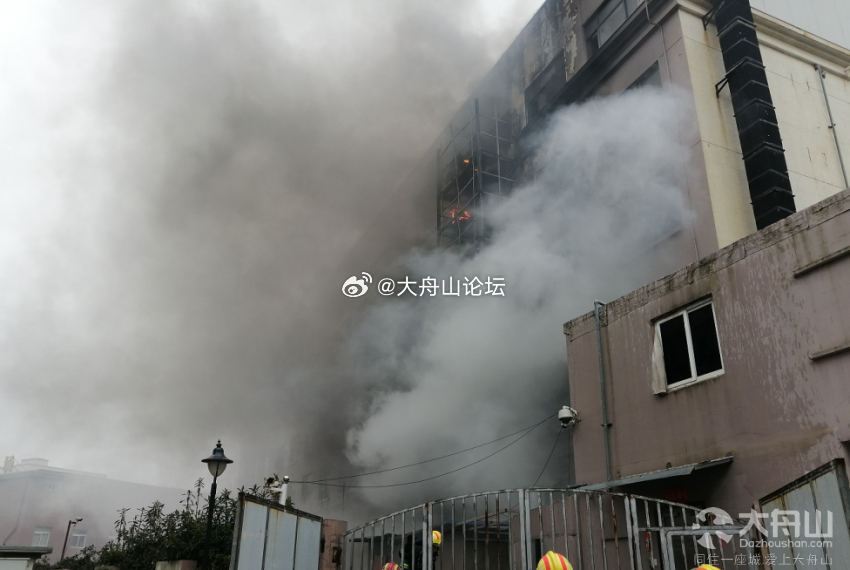 舟山火災(zāi)最新動(dòng)態(tài)，小巷深處的獨(dú)特?zé)熁鹞C(jī)