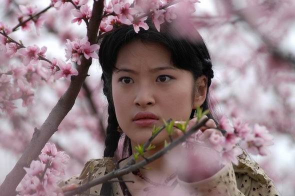 桃花源記電視劇觀看與理解指南，劇情解析與深度體驗(yàn)步驟分享