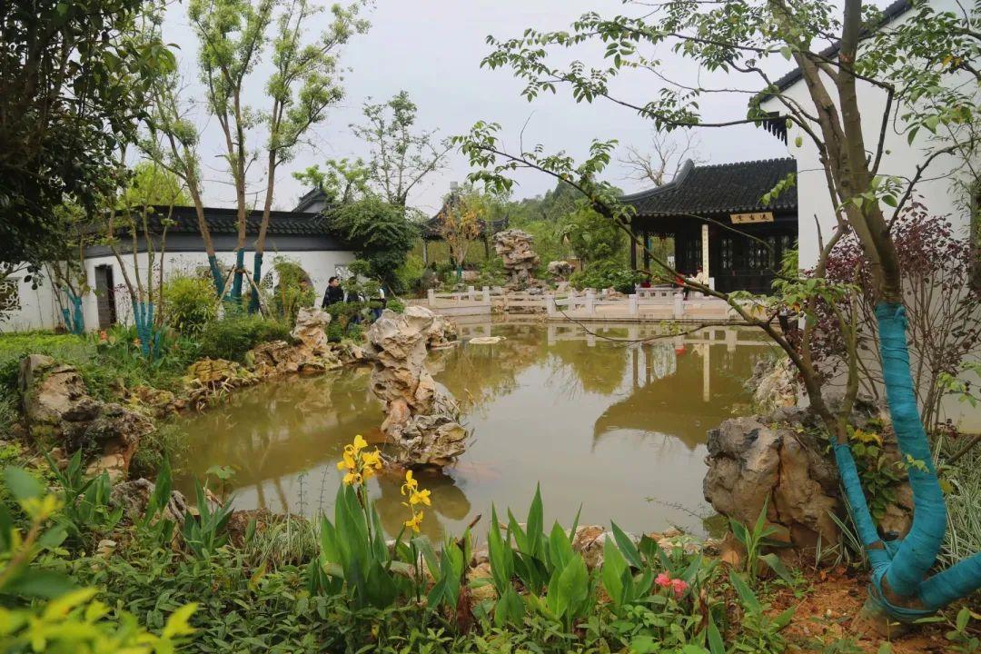 南寧園搏園最新動態(tài)揭秘，游園攻略與技能學(xué)習(xí)指南