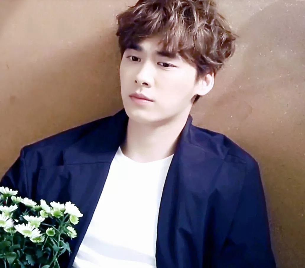 有耳鳴的明星,有耳鳴的明星，探索自然美景之旅，尋找內(nèi)心的寧?kù)o與平和