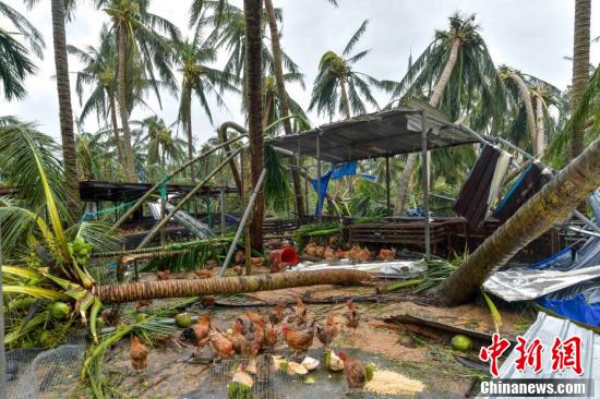 文昌臺(tái)風(fēng)最新消息,????文昌臺(tái)風(fēng)最新消息?????緊急通知！