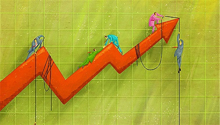 證金公司股票動態(tài),證金公司股票動態(tài)，一場自然美景的探索之旅