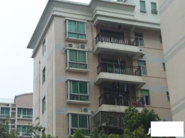 福田區(qū)二手房最新市場(chǎng)價(jià),福田區(qū)二手房最新市場(chǎng)價(jià)，一場(chǎng)探索自然美景的旅行