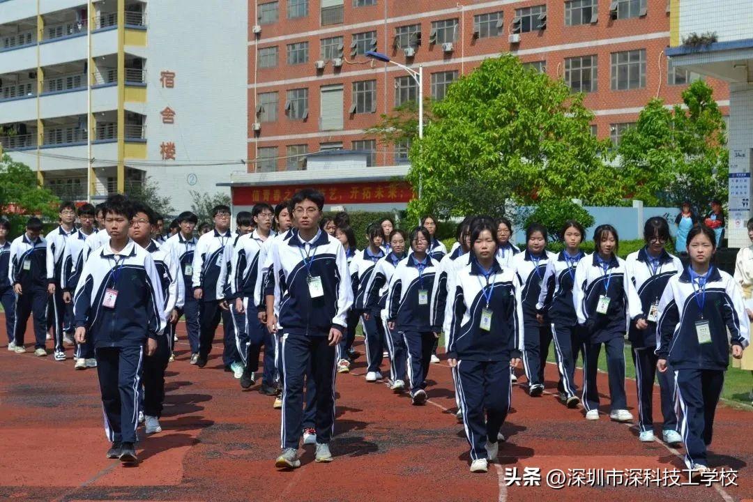 深寶安股票行情解析，前景分析與投資洞察