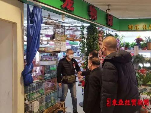 探索自然美景之旅，揭秘2017鷯哥銷售最新資訊，尋找內(nèi)心的平靜與喜悅