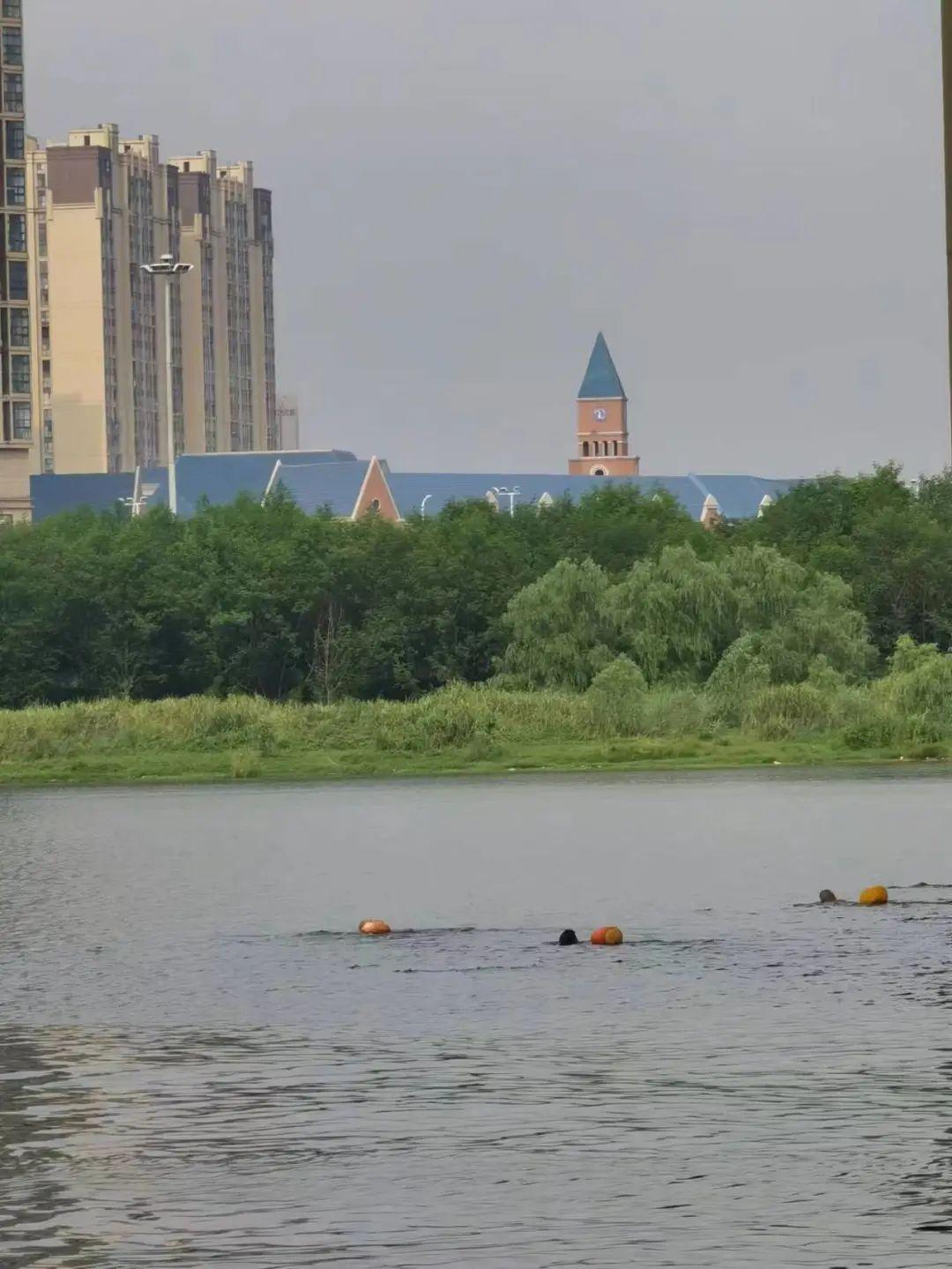 最新野泳之旅，自然美景的探索與愉悅體驗(yàn)
