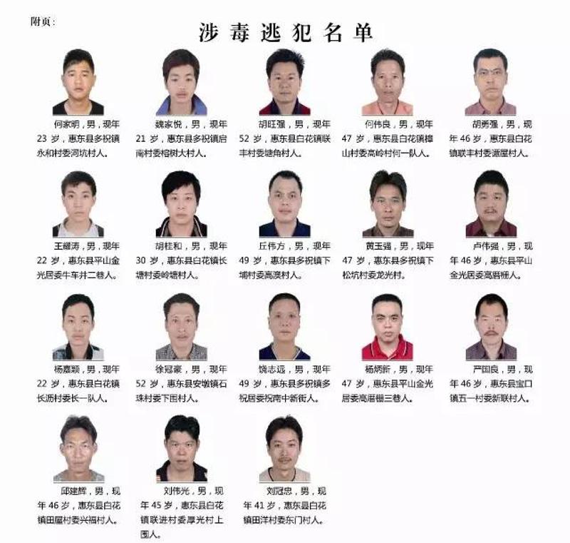 惠州最新通緝公告,惠州最新通緝公告，追逐變化，自信成就未來