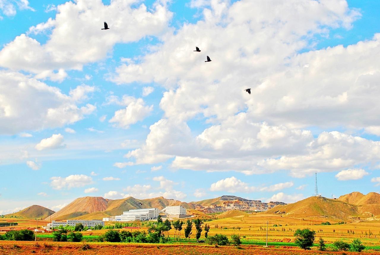 鉬精礦最新行情,??鉬精礦最新行情??