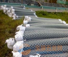 邊坡綠化網(wǎng)價(jià)格，時(shí)代變遷與行業(yè)進(jìn)步的影響