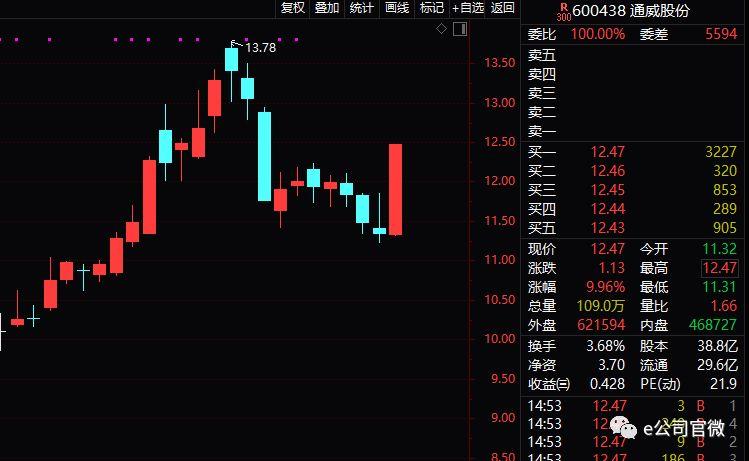 股票逆襲之路，開啟財(cái)富人生的新篇章從底部開始！