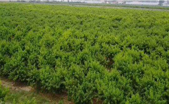 富平最新轉(zhuǎn)讓信息，變化中的機遇，成就感的源泉，自信閃耀時刻