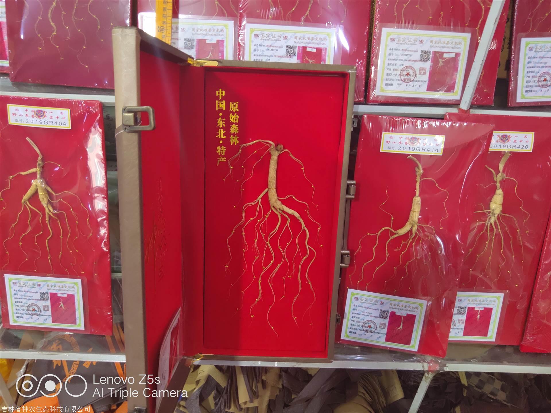 人參價(jià)格解析，市場走勢、品質(zhì)差異及影響因素深度探討