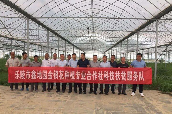 新型環(huán)剝?cè)O(shè)備，小巷中的科技新星